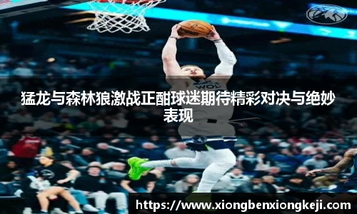 XK星空官方网站